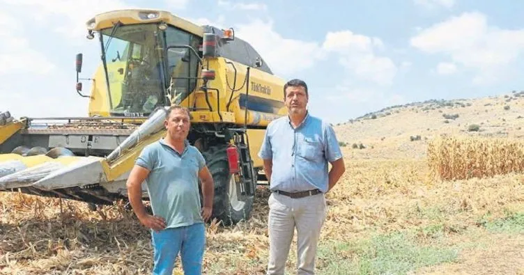 Adana’da mısır hasadı başladı