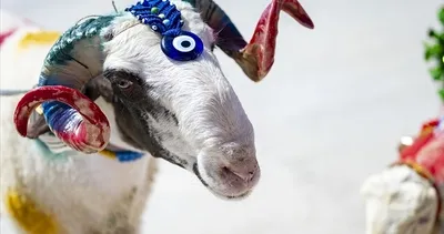 Kurban Bayramı ne zaman, kaç gün tatil olacak? Bakan Ersoy açıkladı: Bayram tatili 9 gün mü olacak?