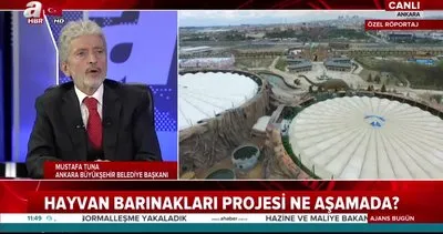 Ankara Büyükşehir Belediye Başkanı Tuna’dan canlı yayında önemli açıklamalar