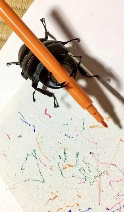 Ressam böcek internet fenomeni oldu