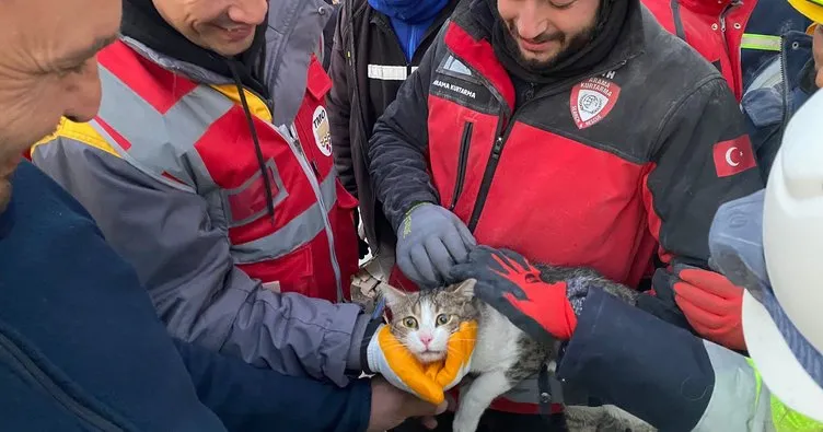 Enkazdaki kedi 110 saat sonra kurtarıldı