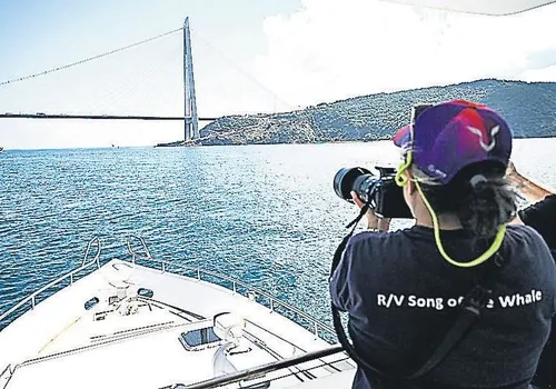istanbul-bogazinin-yunuslari-30-yildir-takip-altinda-1783105000186.jpeg