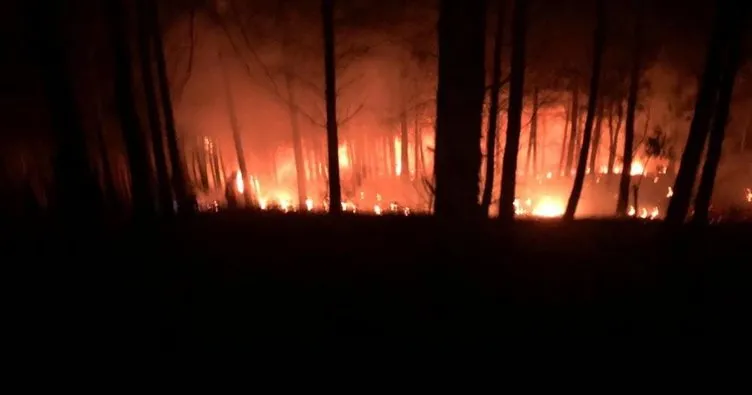 Adana’da başlayan orman yangını sürüyor