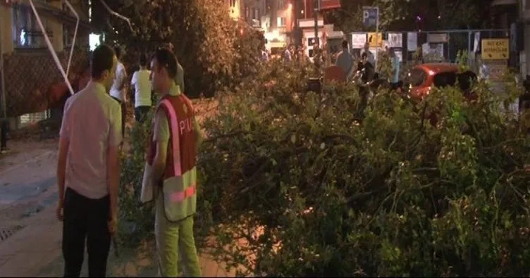 Kadıköy’de ağaç devrildi: 3 yaralı!