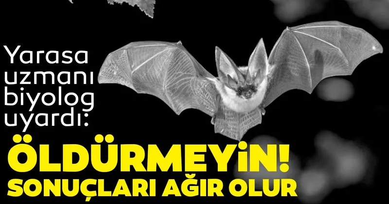 dünyanın en güzel elleri tarih blogları