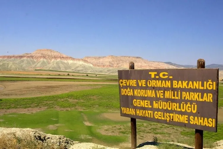 Türkiye’den kuraklık manzaraları