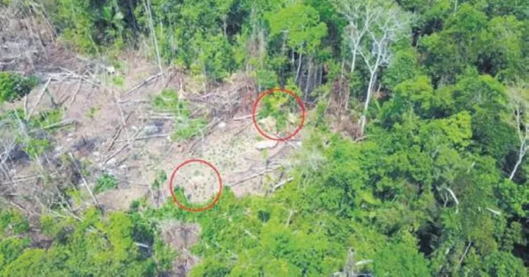 Amazon’daki kabile ilk kez görüntülendi