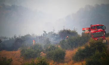 Aydın’da ormanlık alanda yangın çıktı! Bölgeye ekipler sevk edildi