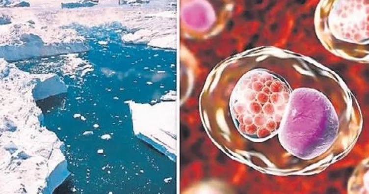‘Milyonlarca yıllık mikrop ve bakteriler canlanıyor’