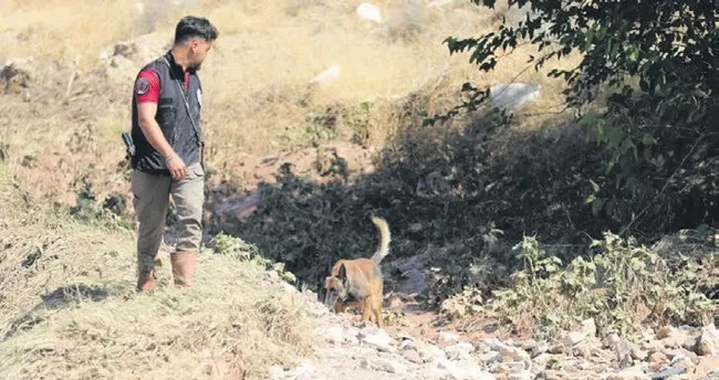 Asel bebek, eğitimli köpeklerle aranıyor Asel bebek, eğitimli köpeklerle aranıyor