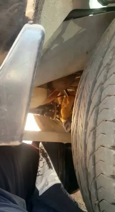 Sanatçı Sümer Ezgü’nün otomobilinin motoruna giren kedi yavrusu, itfaiye ekiplerince çıkarıldı