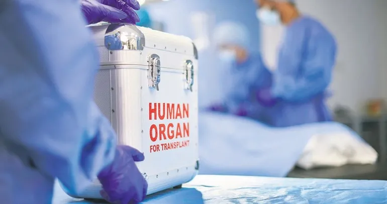 Duyun bu yaşam çığlığını!