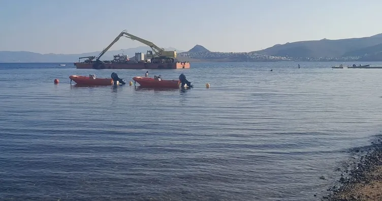 Bodrum’da çevre katliamı devam ediyor