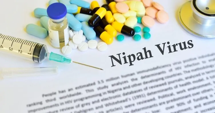 Nipah virüsü NİV tedavisi ve aşısı var mı? Nipah virüsü nedir, belirtileri nelerdir?