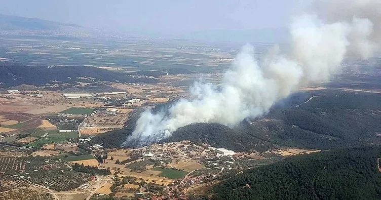 İzmir Foça'da ormanlık alanda yangın çıktı