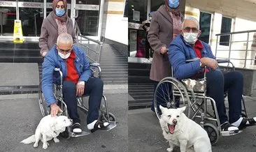 Vefalı köpek Boncuk sahibine kavuştu