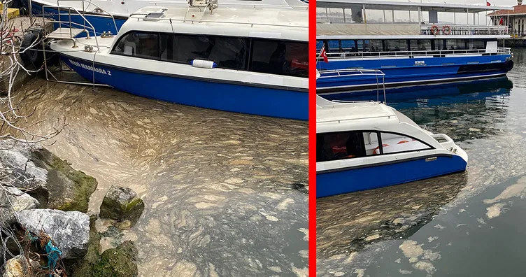 Marmara’nın kabusu geri döndü! Denizin üstü beyaz tabakayla kaplandı! En son 2021’de görülmüştü...