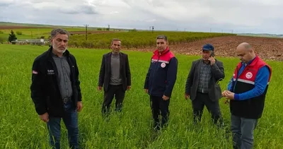 Zarar tespit çalışmaları sahada sürüyor