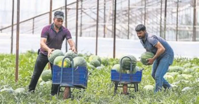 Müsiad başkanı iş hayatını anlattı