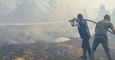 Hatay’da orman yangını kontrol altında