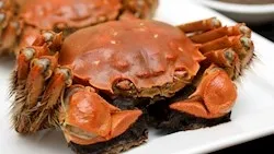 TasteAtlas listeyi paylaştı! İşte Türk mutfağının en popüler mezeleri