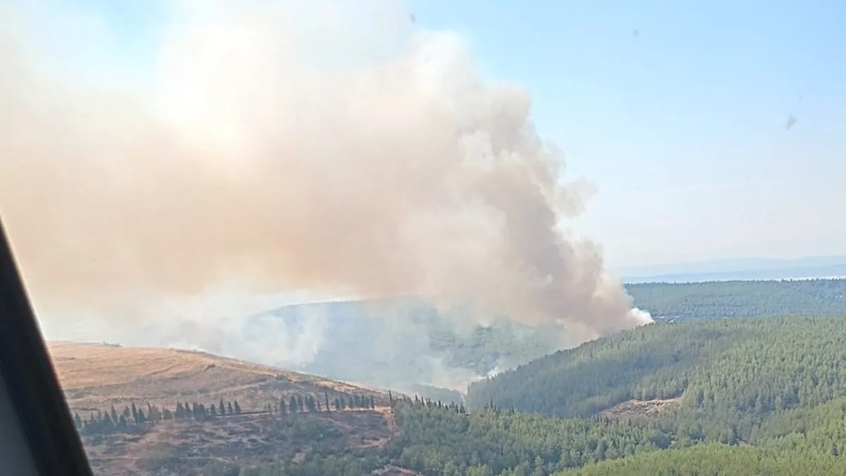 İzmir Menderes'te orman yangını! Alevlere havadan ve karadan müdahale ediliyor