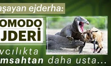 Komodo Ejderi’nin kare kare nefes kesen avlanma anları...