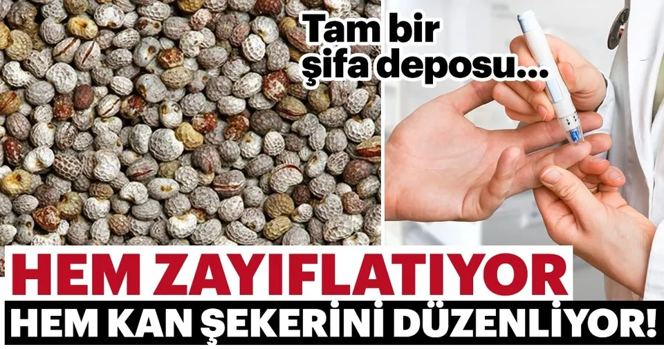 aci cehre otu aci cehre tohumu nedir