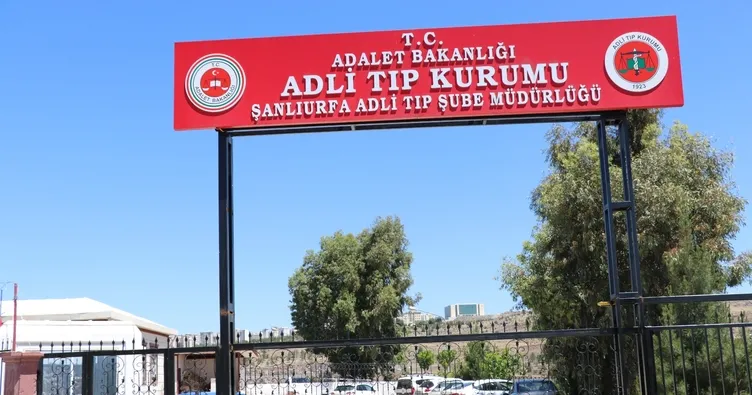 Şanlıurfa’da feci kaza: TIR’ın çarptığı Sedat Karhan hayatını kaybetti!