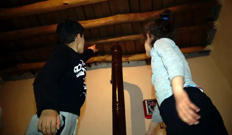 Hakkari'deki o evden 20 yılan daha çıktı...