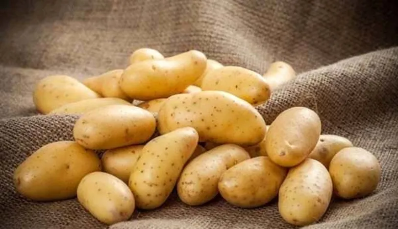 Patates