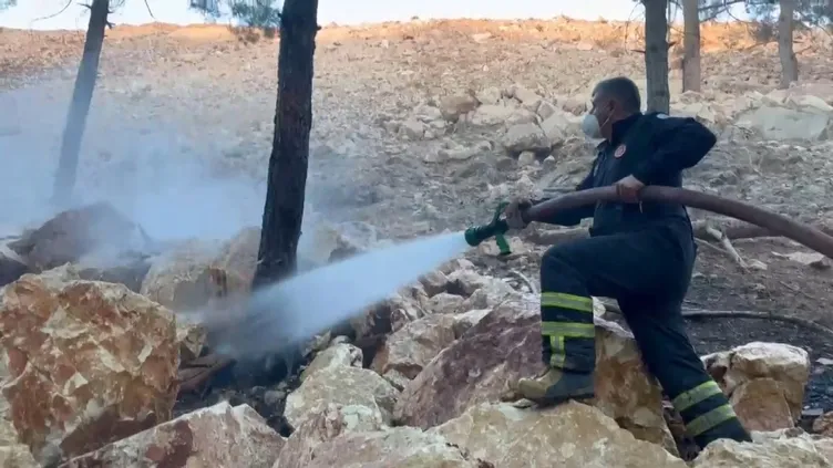 Yer Adıyaman: Ormanda çıkan yangın paniğe sebep oldu
