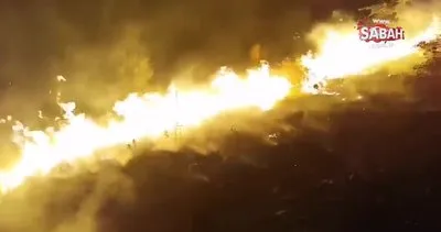 İkizce’de korkutan yangın | Video