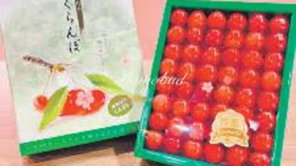 Japonya’da yılın ilk kirazı rekor fiyata satıldı Japonya’da yılın ilk kirazı rekor fiyata satıldı