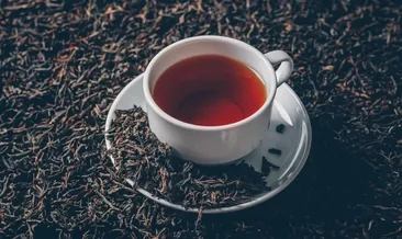 Çaydan yağ da üretilecek