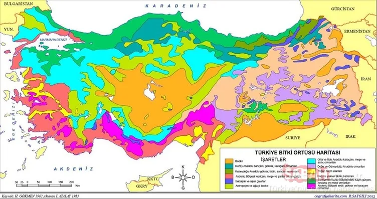 TÜRKİYE HARİTASI | Renkli, fiziki, siyasi Türkiye Haritası BURADA