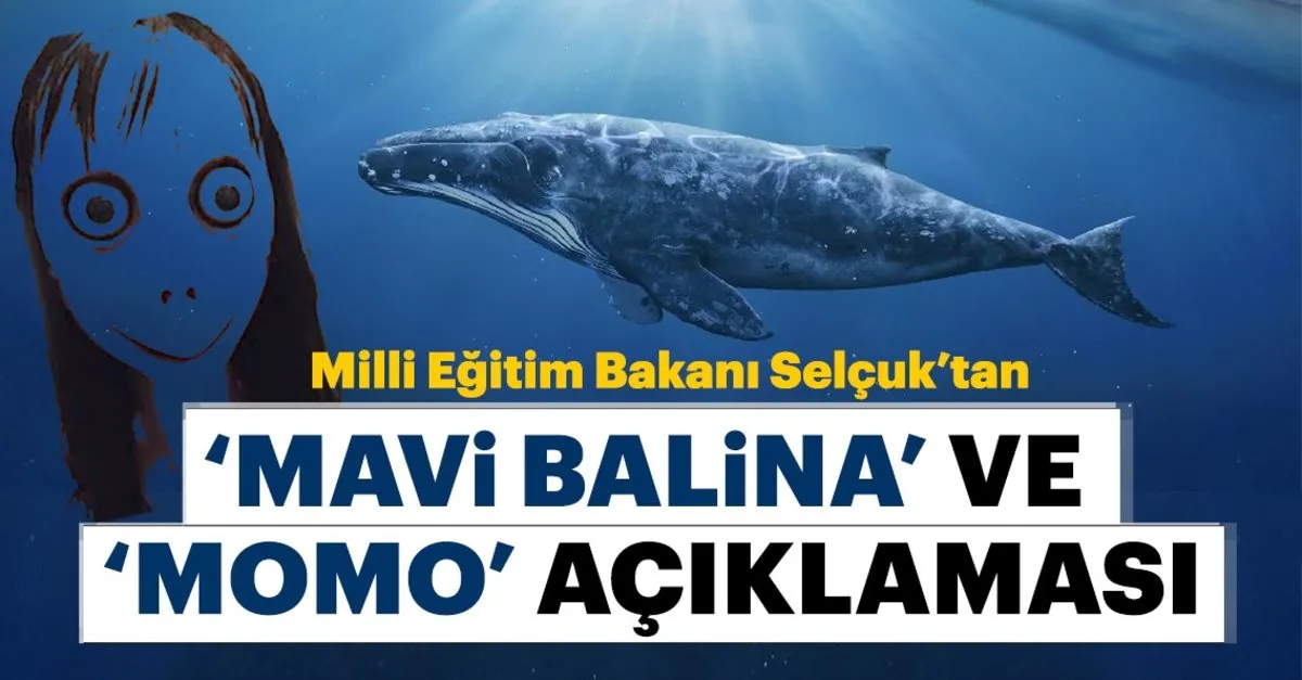 mavi balina ve momo oyunu