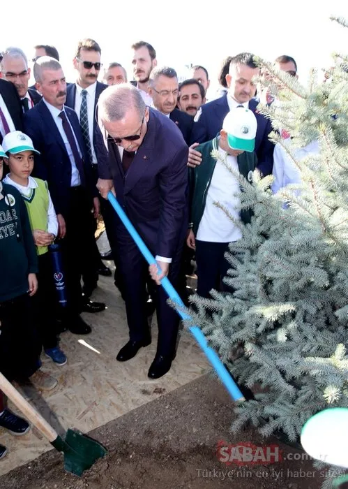 Başkan Erdoğan o projeyi resmen başlattı! 81 ilde milyonlarca fidan toprakla buluşmaya başladı