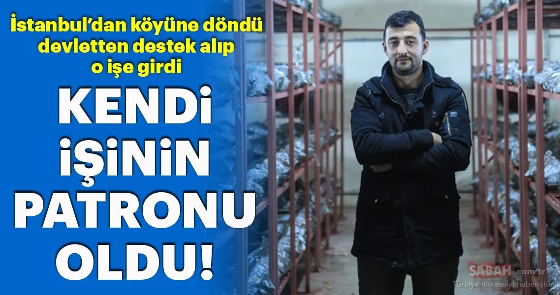 Istanbul Dan Dondugu Koyunde Istiridye Mantari Yetistiriyor Galeri Ekonomide Bugun