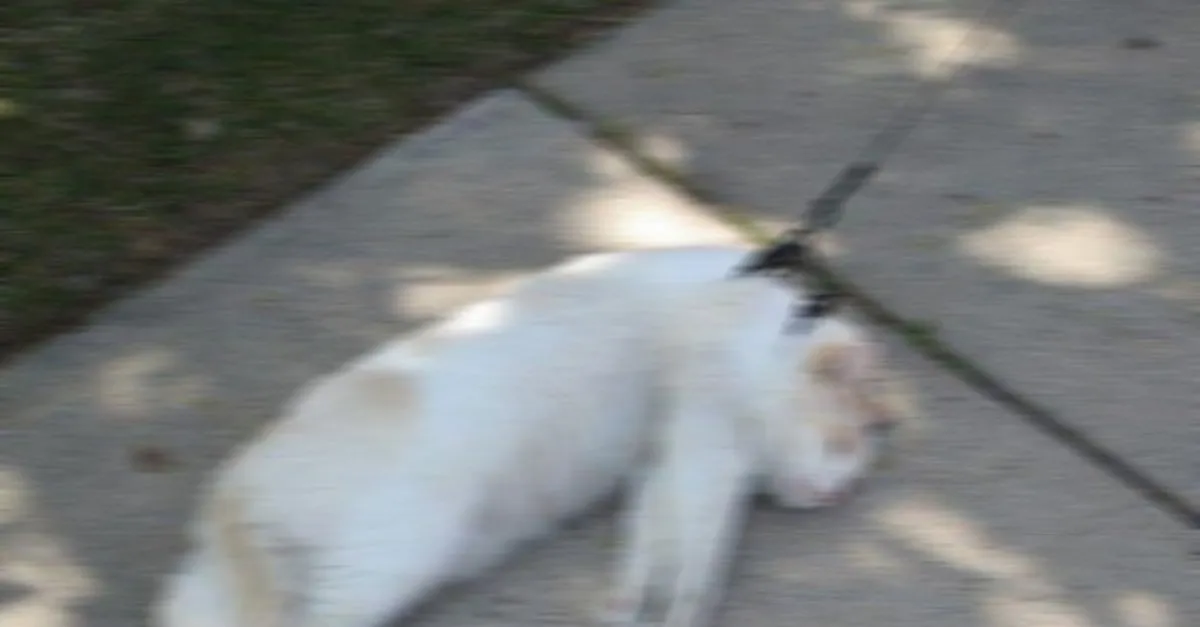 sabah