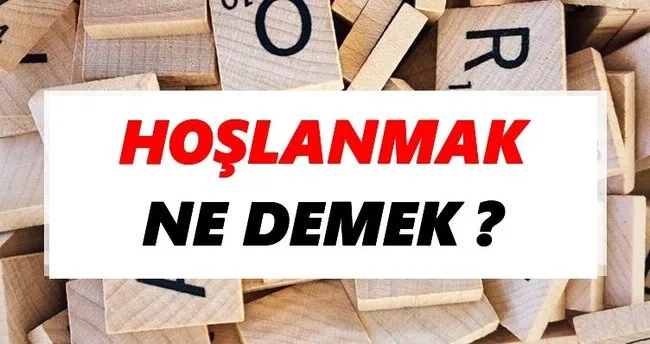 Hoşlanmak Ne Demek? TDK’ya Göre Hoşlanmak Sözlük Anlamı Nedir?