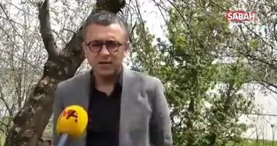 HDP’li Serhat Eren’den terör örgütü elebaşı Öcalan’a özgürlük talebi | Video