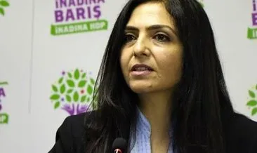 HDP’li eski Belediye Başkanı Özgökçe’nin yargılandığı dava ertelendi