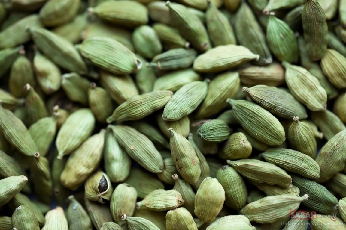 Adını duyunca çok şaşıracaksınız! Yağ yakan hücreleri harekete