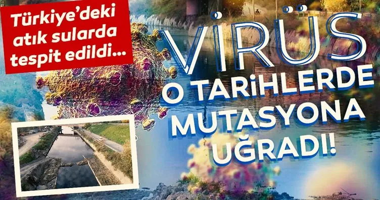 Son dakika: Coronavirüsü mutasyonu o tarihlerde gerçekleşti! Türkiye’deki atık sularda görüldü...