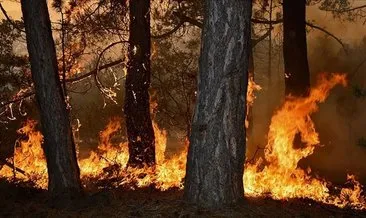 Ankara'da orman yangınlarına karşı 'açık ateş' yasağı #ankara