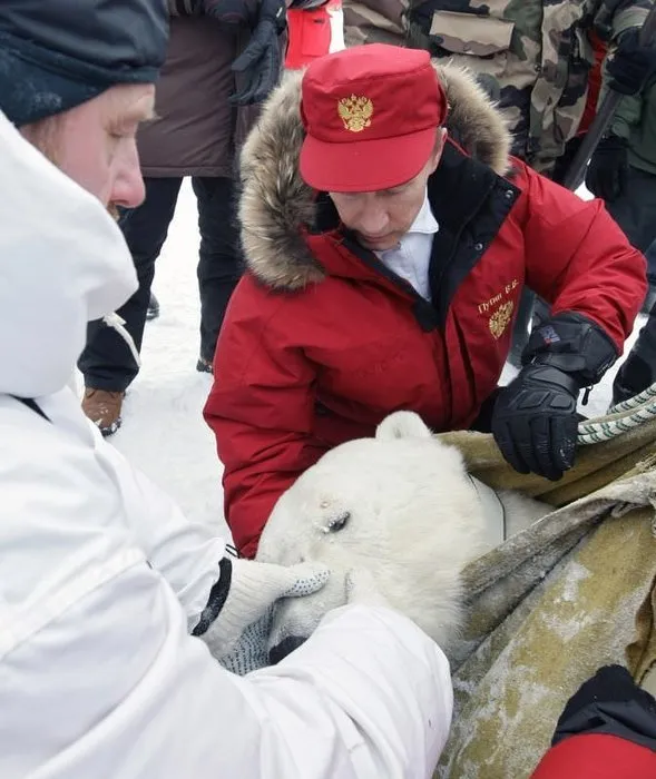 Putin ve kutup ayıları...