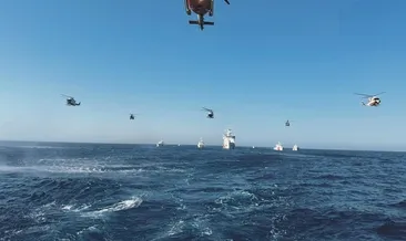 Mavi vatana ay yıldız damgası