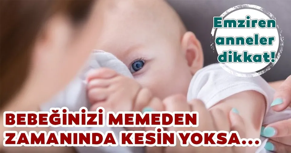Bebegi Emzirmeden Kesme Sureci Nasil Olmalidir Bebek Haberleri