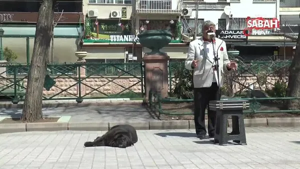 Eskişehir'de sokak müzisyenin yanından bir an olsun ayrılmayan köpek gülümsetti